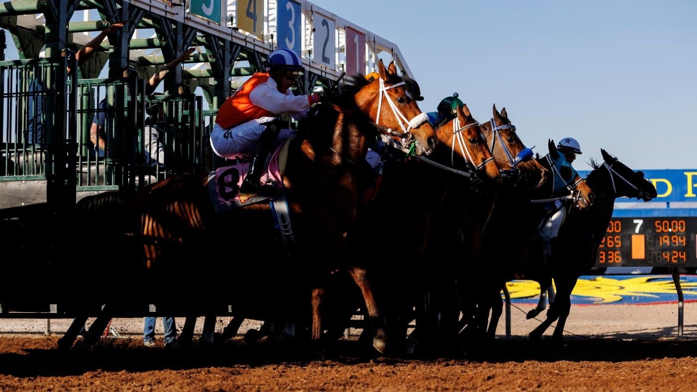 Analyzing Final Gambit's Bid for Success at the 2025 Kentucky Derby