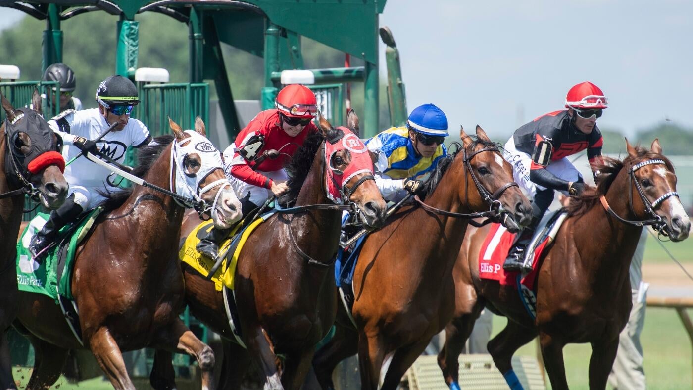 2025 Preakness Stakes Insights: Top Picks and Odds