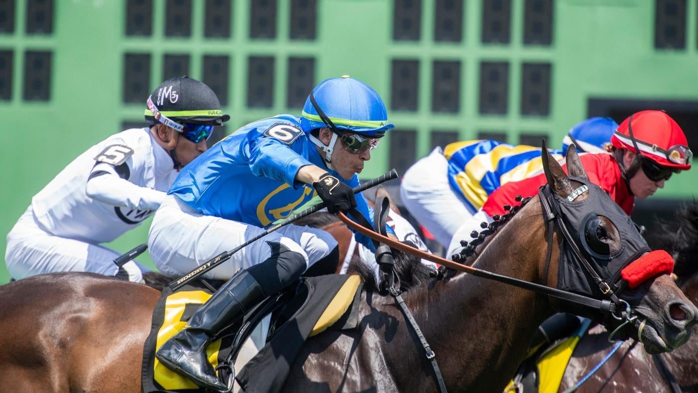 2025 Preakness Stakes Predictions and Betting Insights