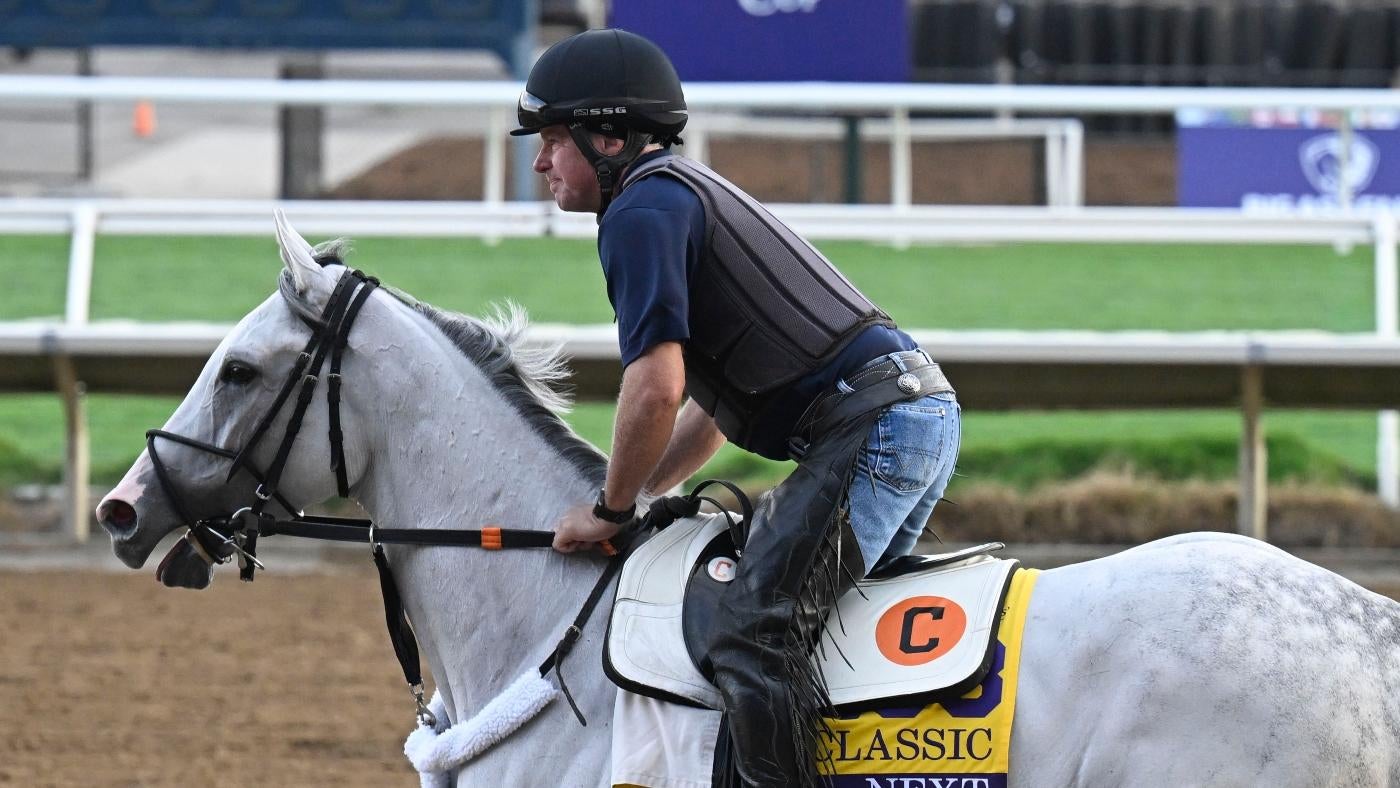 Expert Insights on 2025 Preakness Stakes: Key Horses, Odds, and Predictions