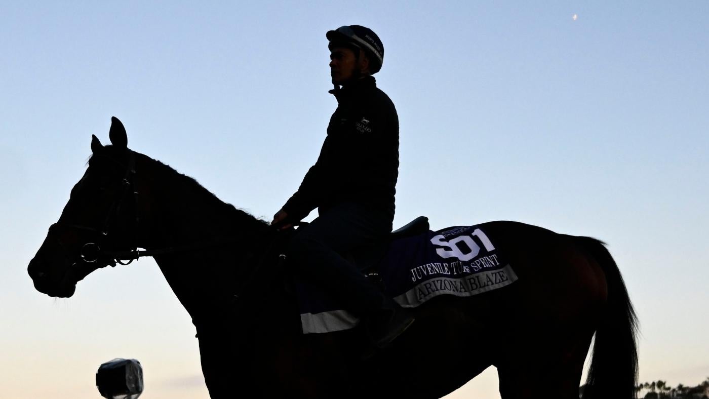 2025 Preakness Stakes: Weather Insights and Top Horse Selections