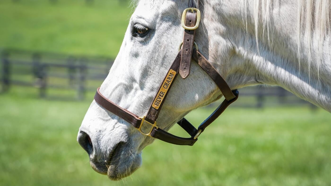 Draft Insights: Preakness Stakes 2025 Betting Guide and Predictions