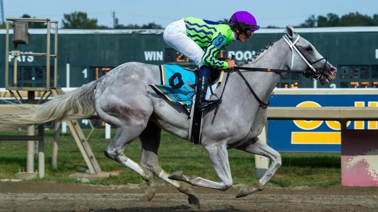 2025 Belmont Stakes Betting Insights: Expert Picks and Predictions