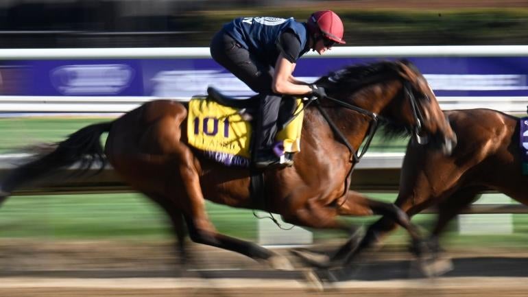 Expert Insights on the 2025 Belmont Stakes: Predictions and Betting Strategy