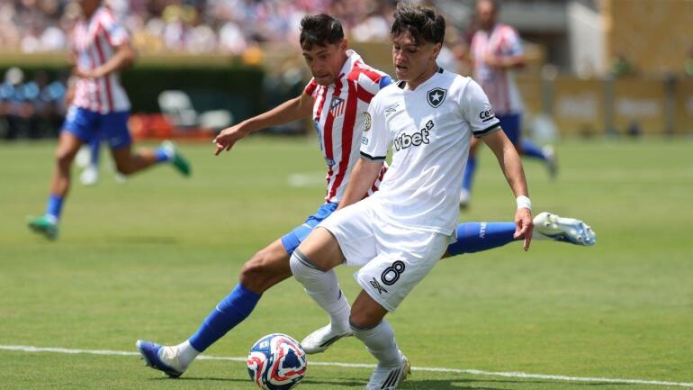 Predictions and Betting Odds for Palmeiras vs. Botafogo in the 2025 FIFA Club World Cup