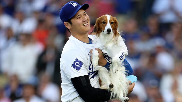 Shohei Ohtani Introduces a New Children's Book Featuring His Dog Decoy