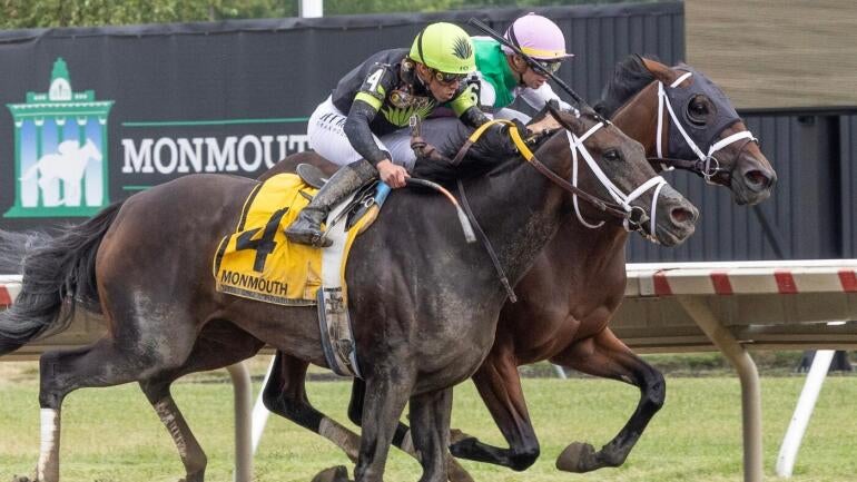 2025 Haskell Stakes Insights: Expert Bets and Odds