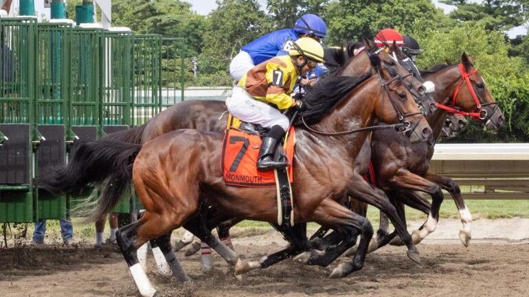 2025 Haskell Stakes: Betting Insights and Predictions from a Track Expert
