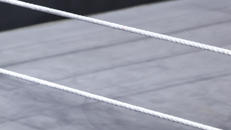 Pro Wrestler Syko Stu Recovers at Home After In-Ring Assault