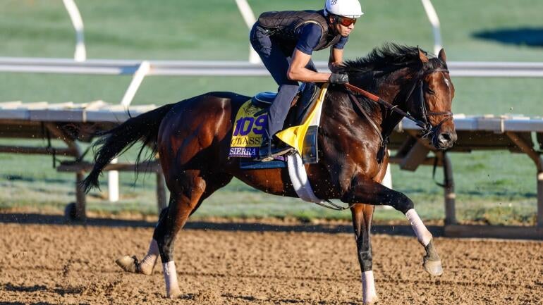 Predictions and Bets for the 2025 Breeders' Cup Classic