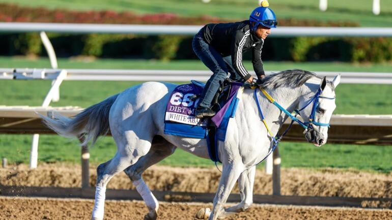 2026 Pegasus World Cup: Predictions, Odds, Insights, and Top Bets